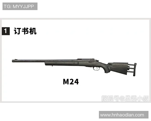 探讨和平精英的成功秘诀与赵娜的独特视角与经验分享