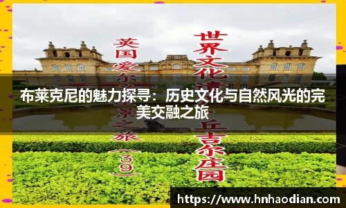 伟德BV国际体育